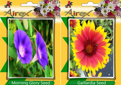 

Airex Morning Glory, Gaillardia Seed(15 per packet)