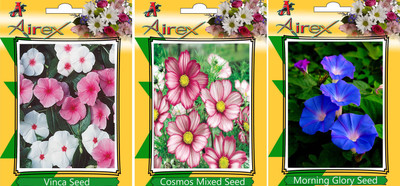 

Airex Vinca, Cosmos Mixed, and Morning Glory Seed(15 per packet)