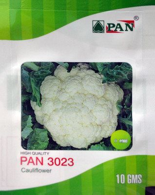 

PAN Cauliflower Seeds Seed(1900 per packet)