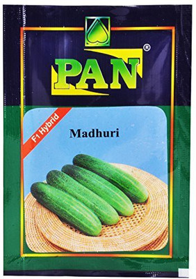 

PAN Cucumber Seeds Seed(400 per packet)