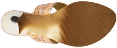 Shaagun Women Pink Heels