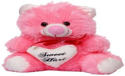 

Pari Pink Soft Teddy - 30 cm(Multicolor)