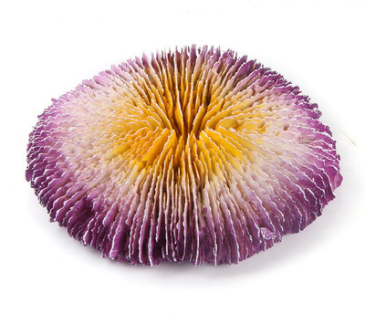 

SRI Aquarium Decorative Artificial Coral Ornaments/Toy For Fish Tank Laterite Unplanted Substrate(Purple)