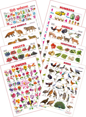 

Spectrum Kid's 1st Learning Charts [S] : Set 8 (Hindi Varnamala, Numbers 1 to 10, Wild Animals, Domestic Animals, Fruits, Vegetables, Flowers & Birds)(Multicolor)