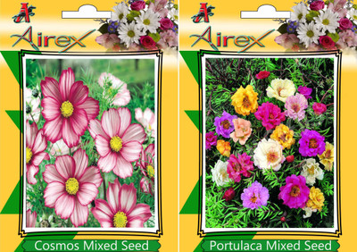 Airex Cosmos Mixed, Portulaca Mixed Seed(25 per packet)