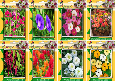 

Airex Gomphrena Mixed, Morning Glory, Cosmos Mixed, Portulaca Mixed, Amaranthus, Celosia, White Zinnia, and Thunbergia Seed(20 per packet)