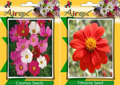 Airex Cosmos Mixed, Tithonia Seed(25 per packet)