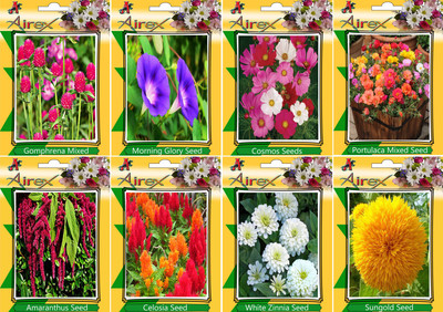 

Airex Gomphrena Mixed, Morning Glory, Cosmos Mixed, Portulaca Mixed, Amaranthus, Celosia, White Zinnia, and Sungold Seed(20 per packet)