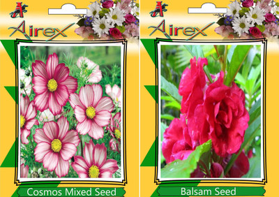 

Airex Comos Mixed, Balsam Seed(20 per packet)