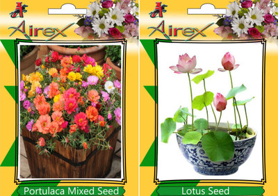 

Airex Portulaca Mixed, Lotus Seed(15 per packet)