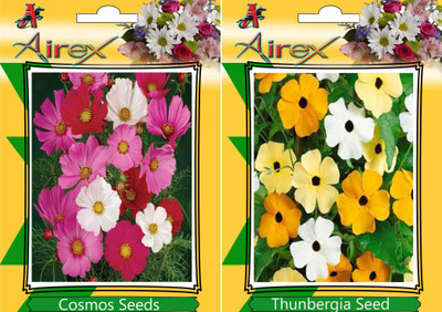 

Airex Cosmos Mixed, Thunbergia Seed(20 per packet)