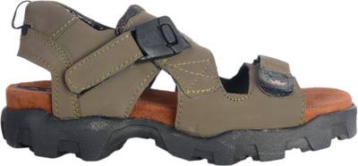 Shoegaro Men Tan Sandals