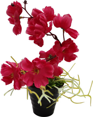 

Ace Flowers Multicolor Assorted Artificial Flower with Pot(8.5 inch, Pack of 1)