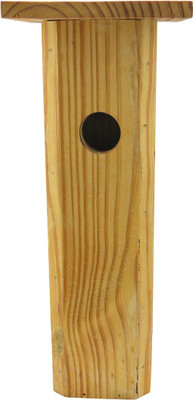 

Birdhousebuilder NB002 Bird House(Wall Mounting, Tree Mounting)