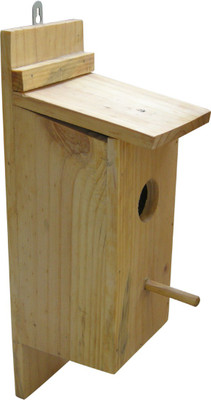 

Birdhousebuilder NB005 Bird House(Wall Mounting, Tree Mounting)