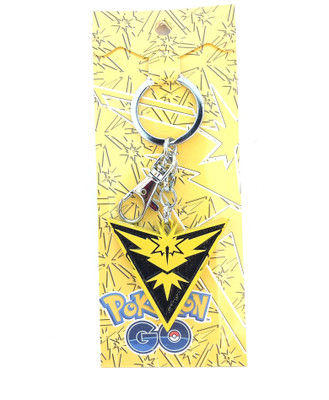 

Akki Collection teaminstinct Locking Key Chain(Multicolor)
