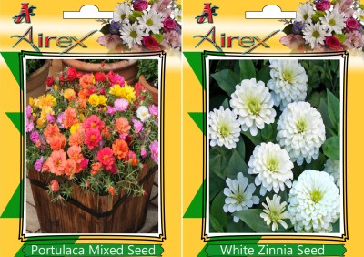 Airex Portulaca Mixed, White Zinnia Seed(15 per packet)