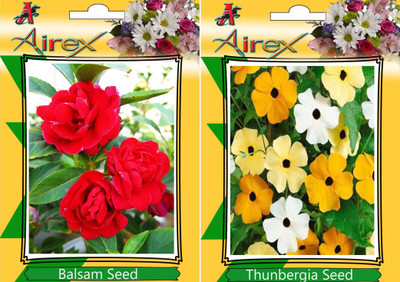 

Airex Balsam, Thunbergia Seed(20 per packet)