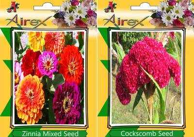 

Airex Zinnia Mixed, Cockscomb Seed(15 per packet)