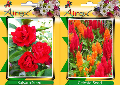 Airex Balsam, Celosia Seed(25 per packet)