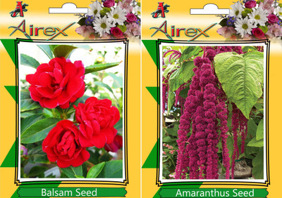 

Airex Balsam, Amaranthus Seed(20 per packet)
