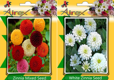 

Airex Zinnia Mixed, White Zinnia Seed(15 per packet)