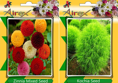 

Airex Zinnia Mixed, Kochia Seed(15 per packet)
