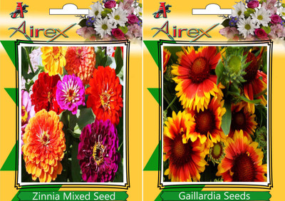 

Airex Zinnia Mixed, Gaillardia Seed(25 per packet)