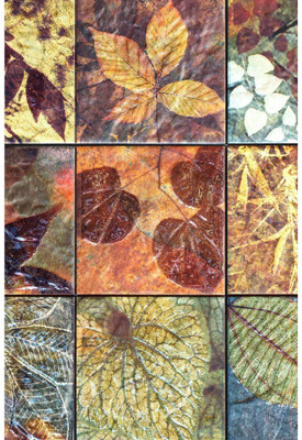 

Wall Décor Poster Paper Print(26 inch X 14 inch, Rolled)