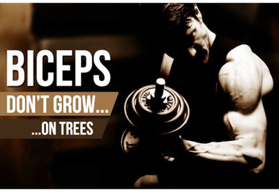 

Gym posters big size Paper Print(23 inch X 18 inch, Rolled)