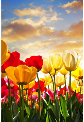 

Wall Décor Poster Paper Print(26 inch X 14 inch, Rolled)