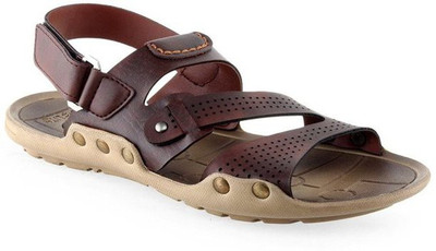 

Extavo Men Brown Casual