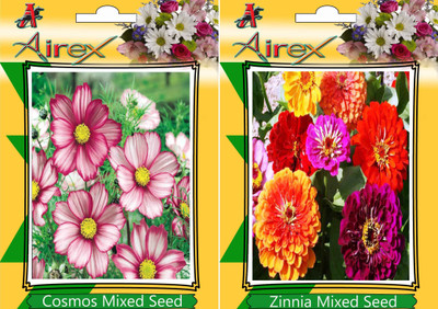 

Airex Cosmos Mixed, Zinnia Mixed Seed(15 per packet)