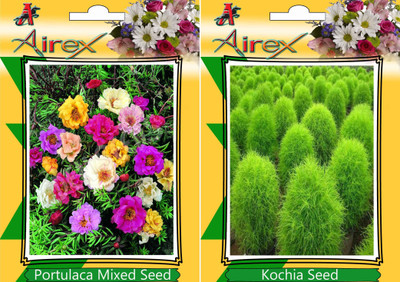 Airex Portulaca Mixed, Kochia Seed(25 per packet)