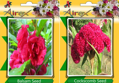 

Airex Balsam, Cockscomb Seed(20 per packet)
