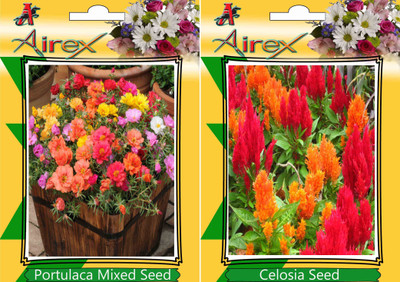 

Airex Portulaca Mixed, Celosia Seed(20 per packet)