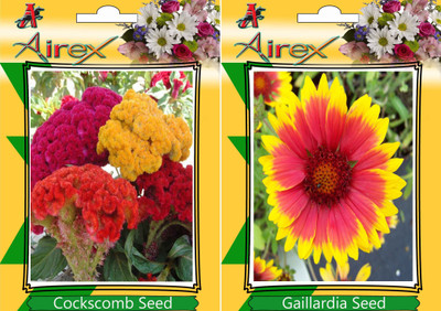 Airex Cockscomb, Gaillardia Seed(15 per packet)