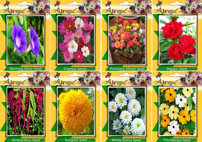 

Airex Morning Glory, Cosmos Mixed, Portulaca Mixed, Balsam, Amaranthus, Sungold, White Zinnia, and Thunbergia Seed(20 per packet)