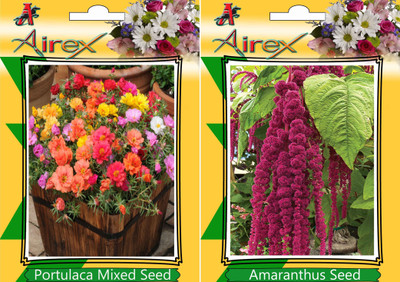 Airex Portulaca Mixed, Amaranthus Seed(15 per packet)