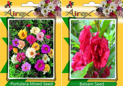 

Airex Portulaca Mixed, Balsam Seed(15 per packet)