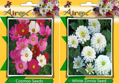 

Airex Cosmos Mixed, White Zinnia Seed(15 per packet)