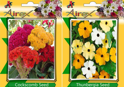 

Airex Cockscomb, Thunbergia Seed(25 per packet)