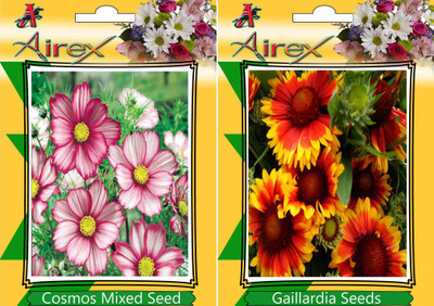 

Airex Cosmos Mixed, Gaillardia Seed(20 per packet)