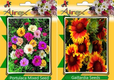 

Airex Portulaca Mixed, Gaillardia Seed(25 per packet)