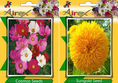 

Airex Cosmos Mixed, Sungold Seed(20 per packet)