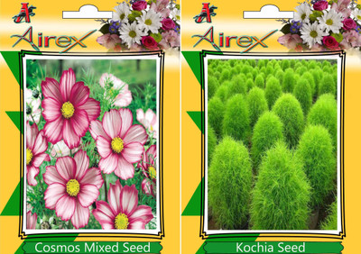 

Airex Cosmos Mixed, Kochia Seed(20 per packet)