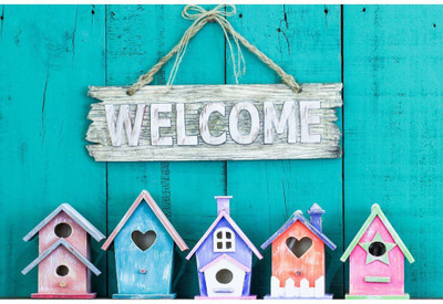 Wall Décor Poster Paper Print(26 inch X 14 inch, Rolled)