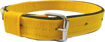 

Sollar's Dog Head Collar(, Red