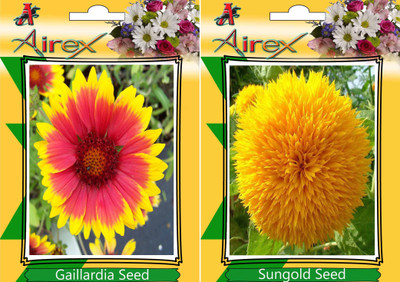 

Airex Gaillardia, Sungold Seed(15 per packet)