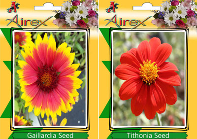 

Airex Gaillardia, Tithonia Seed(25 per packet)